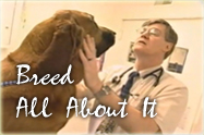 PRODUCTION credits breed all about it dog infomercal www.globalvizion.net